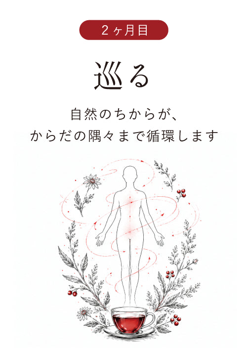 2ヶ月目 巡る