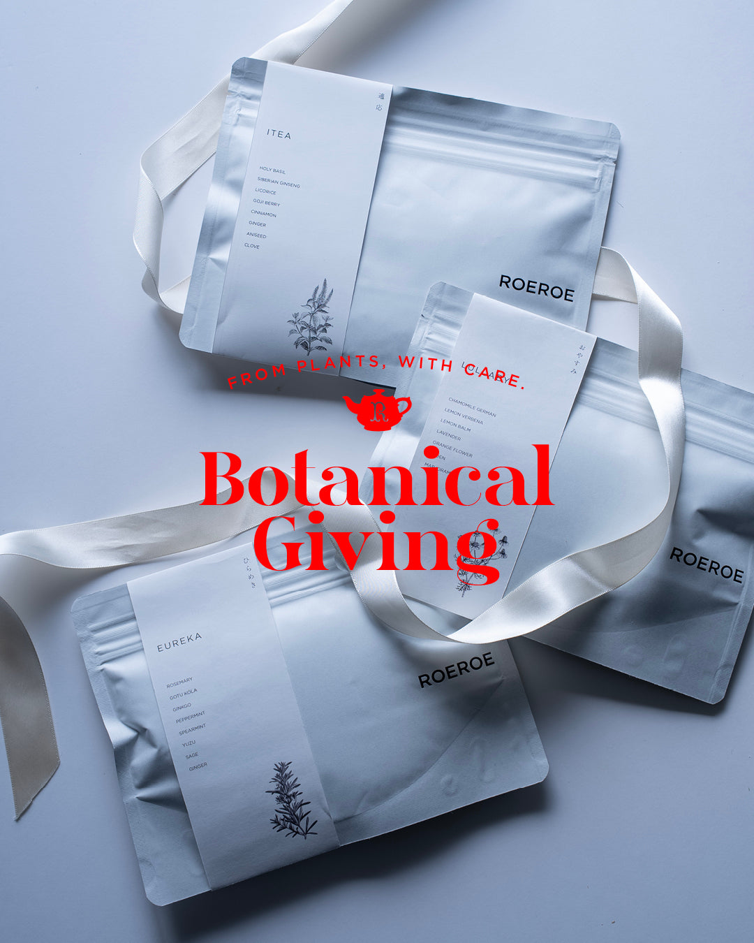 BOTANICAL GIVING 植物からの贈り物