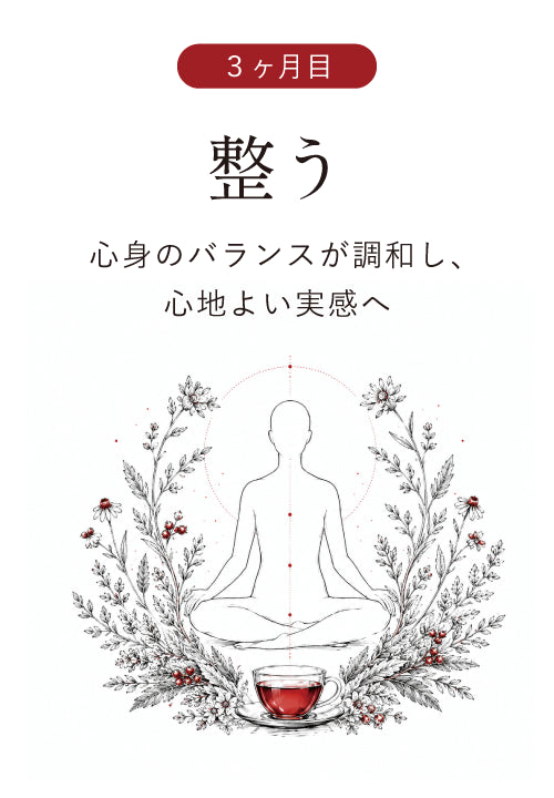 3ヶ月目 整う