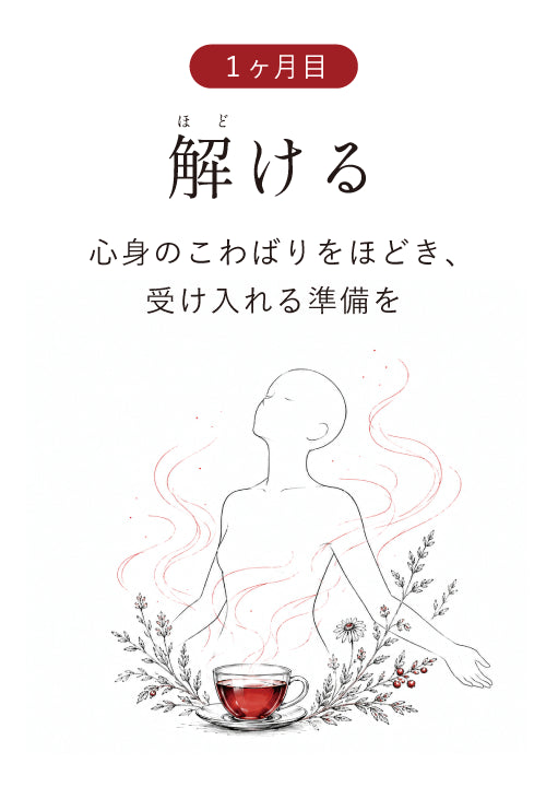 1ヶ月目 解ける