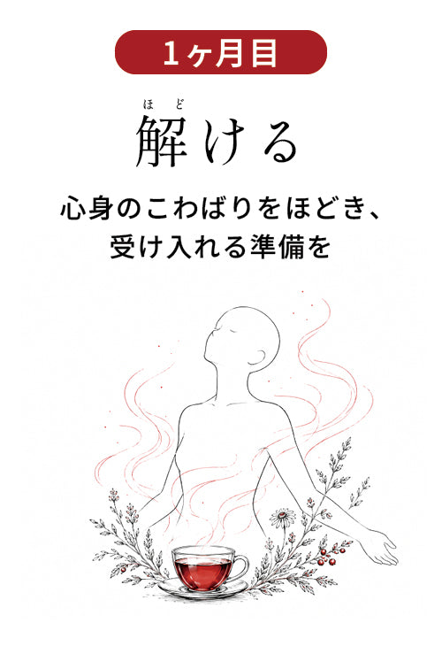 1ヶ月目 解ける