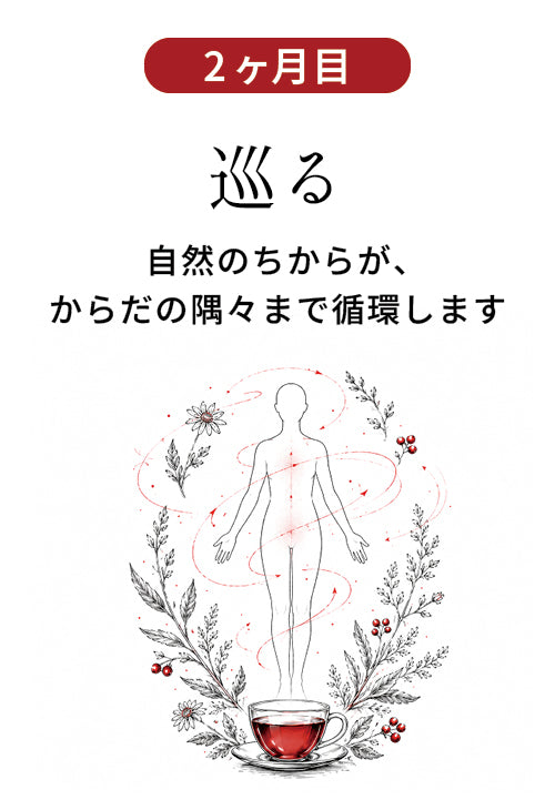 2ヶ月目 巡る