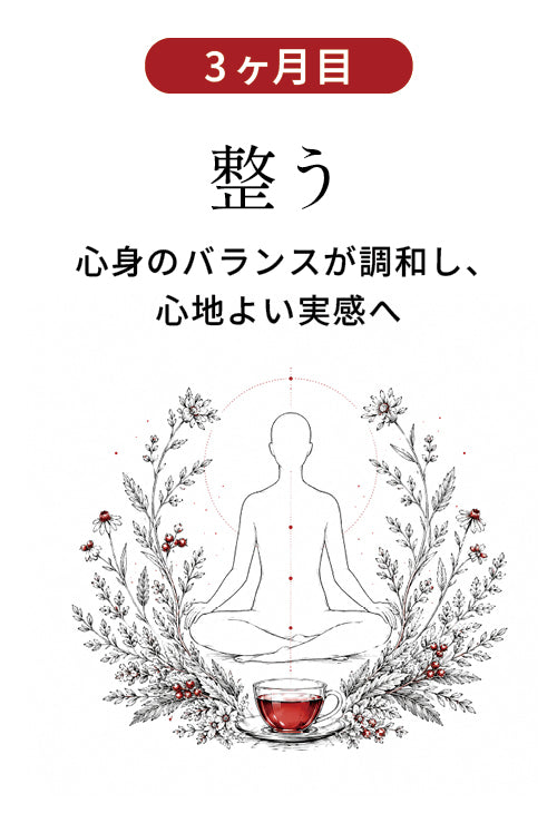 3ヶ月目 整う