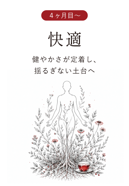 4ヶ月目以降 快適