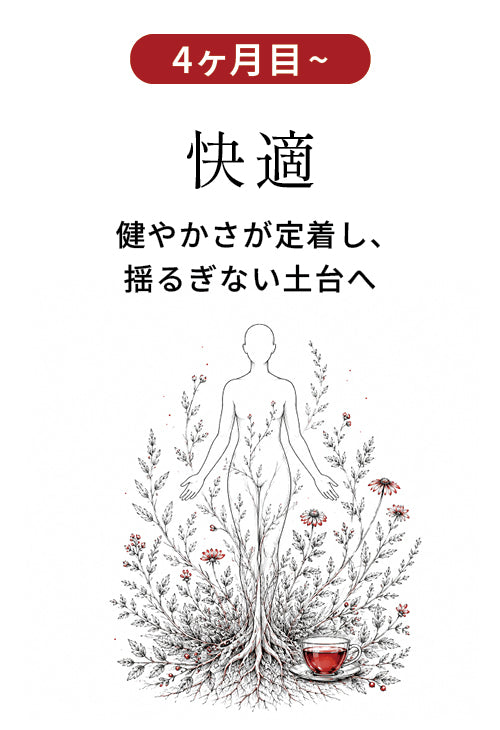 4ヶ月目以降 快適