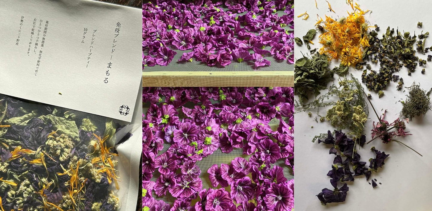 大寒いたわりセット