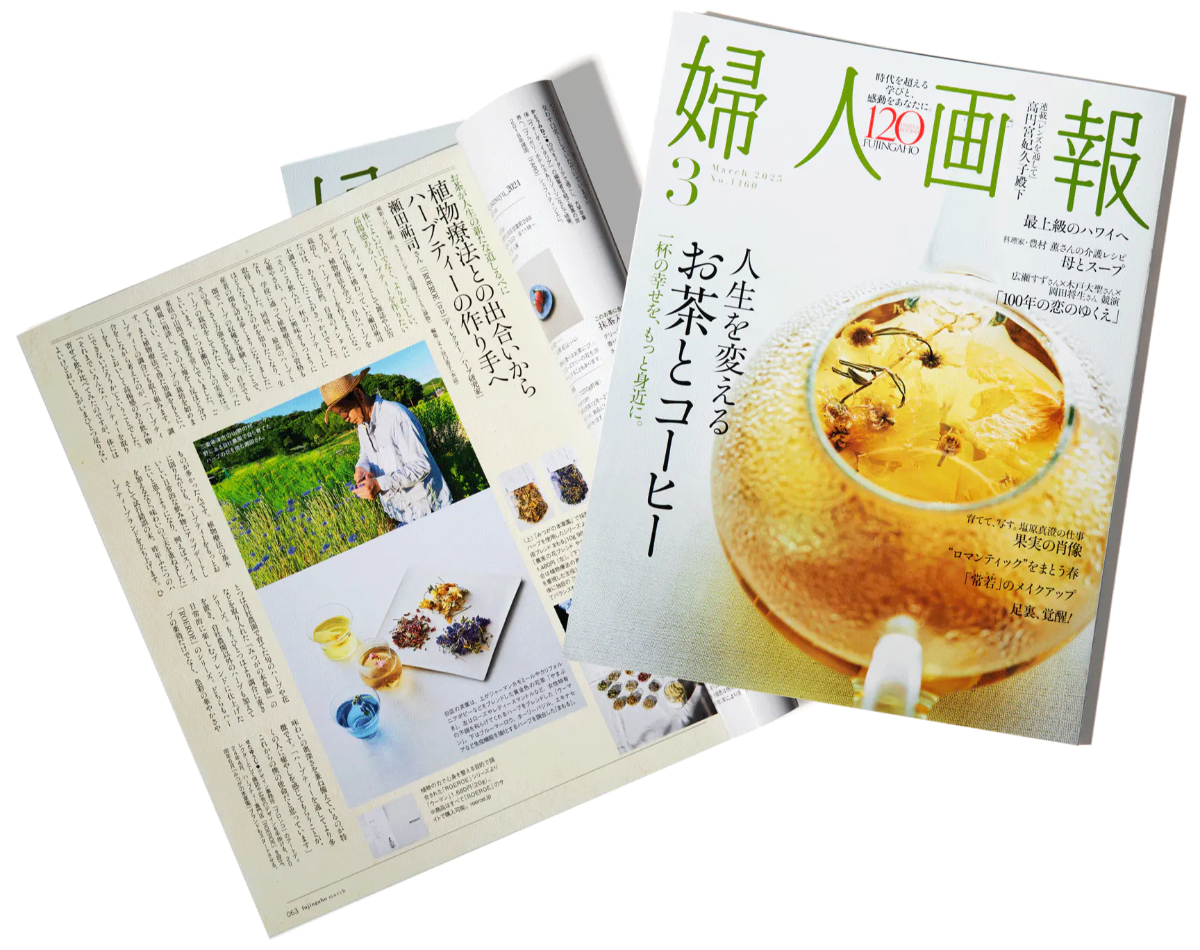 婦人画報 お茶特集号の表紙と記事